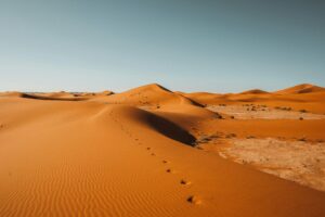Desert